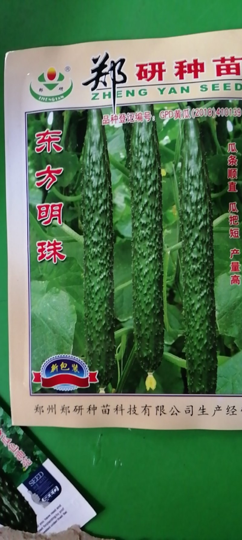 黄瓜种子，耐湿耐热抗病，抗高温，35度正常结瓜。