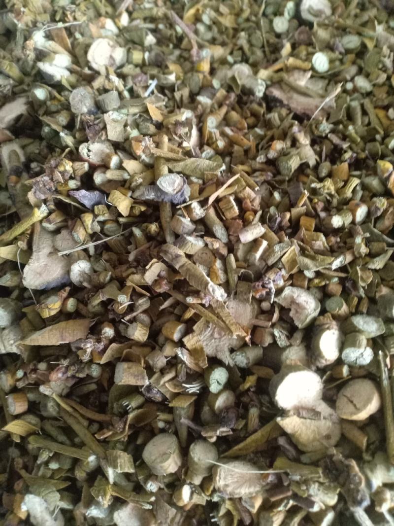 槲寄生，真实拍照，薄利多销，有现货，24小时内发货