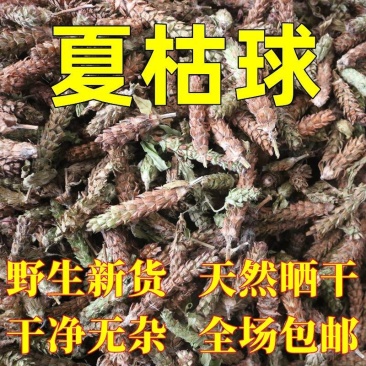 精选夏枯球中药材野生夏枯草白毛无硫夏枯新货球正品棒槌草泡