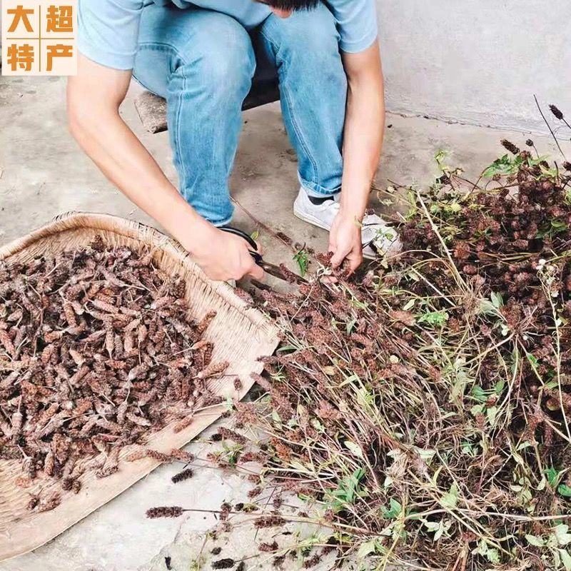 精选夏枯球中药材野生夏枯草白毛无硫夏枯新货球正品棒槌草泡