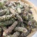 精选夏枯球中药材野生夏枯草白毛无硫夏枯新货球正品棒槌草泡