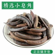中药材猪牙皂野生猪牙皂皂角50克包邮牙皂角新货无虫眼猪牙