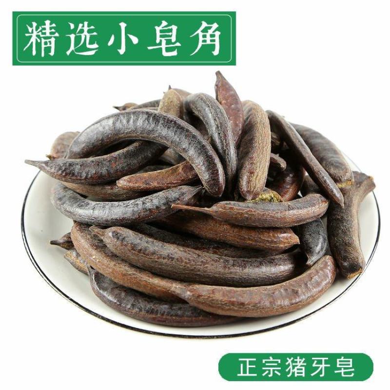 中药材猪牙皂野生猪牙皂皂角50克包邮牙皂角新货无虫眼猪牙