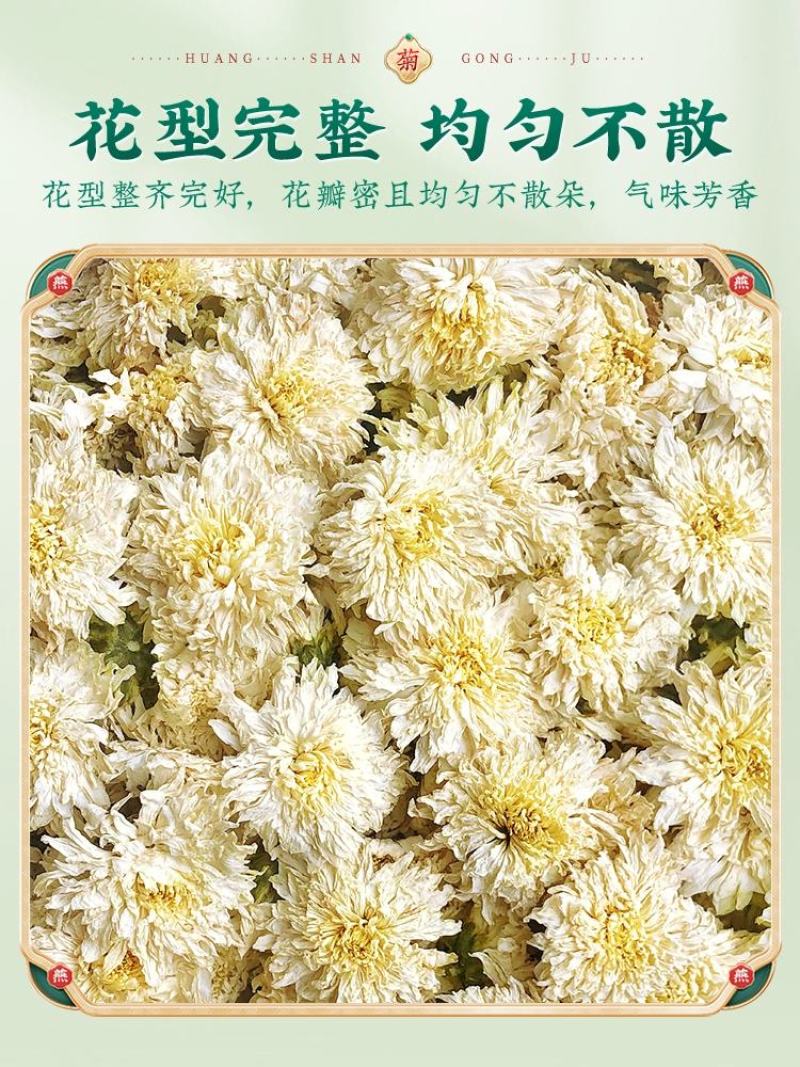 精品贡菊茶