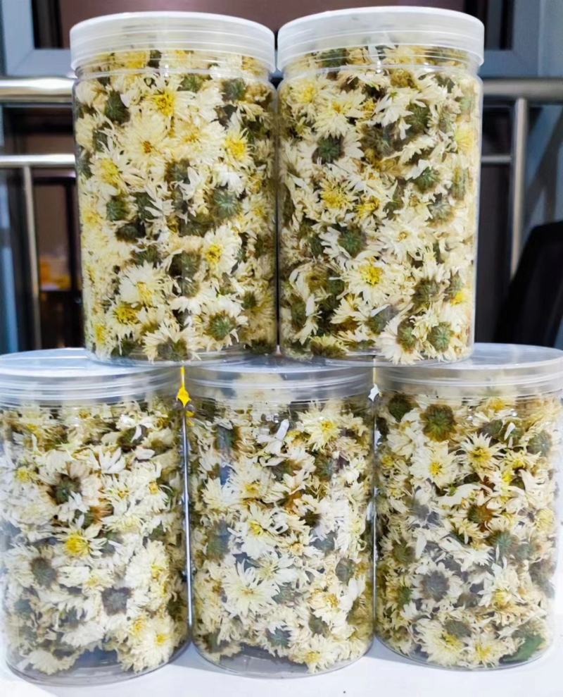 精品贡菊茶