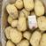 【精选】河南希森土豆荷兰土豆v7土豆一手货源。。