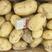 【精选】河南希森土豆荷兰土豆v7土豆一手货源。。
