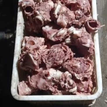 精品清真牛副产品-牛黄喉喉头工厂直供大量批发
