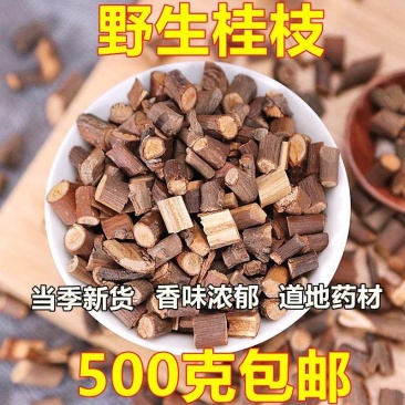 正宗正品野生桂枝桂枝尖当季新货味浓无硫甄选品质道地药材主
