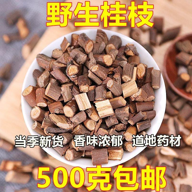 正宗正品野生桂枝桂枝尖当季新货味浓无硫甄选品质道地药材主
