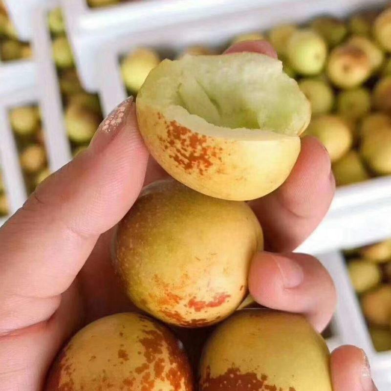 大荔冬枣