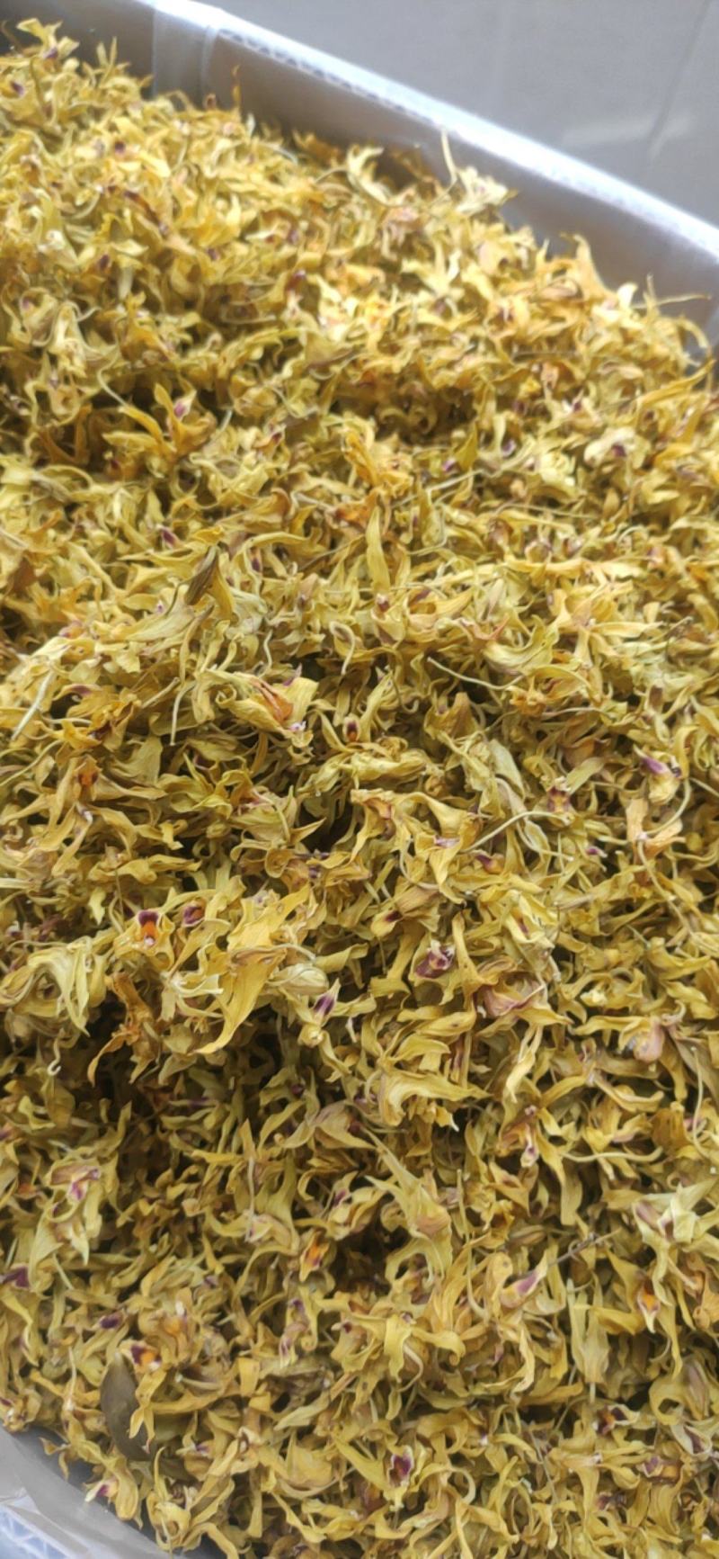 铁皮石斛花干货石斛花欢迎选购！量大从优！