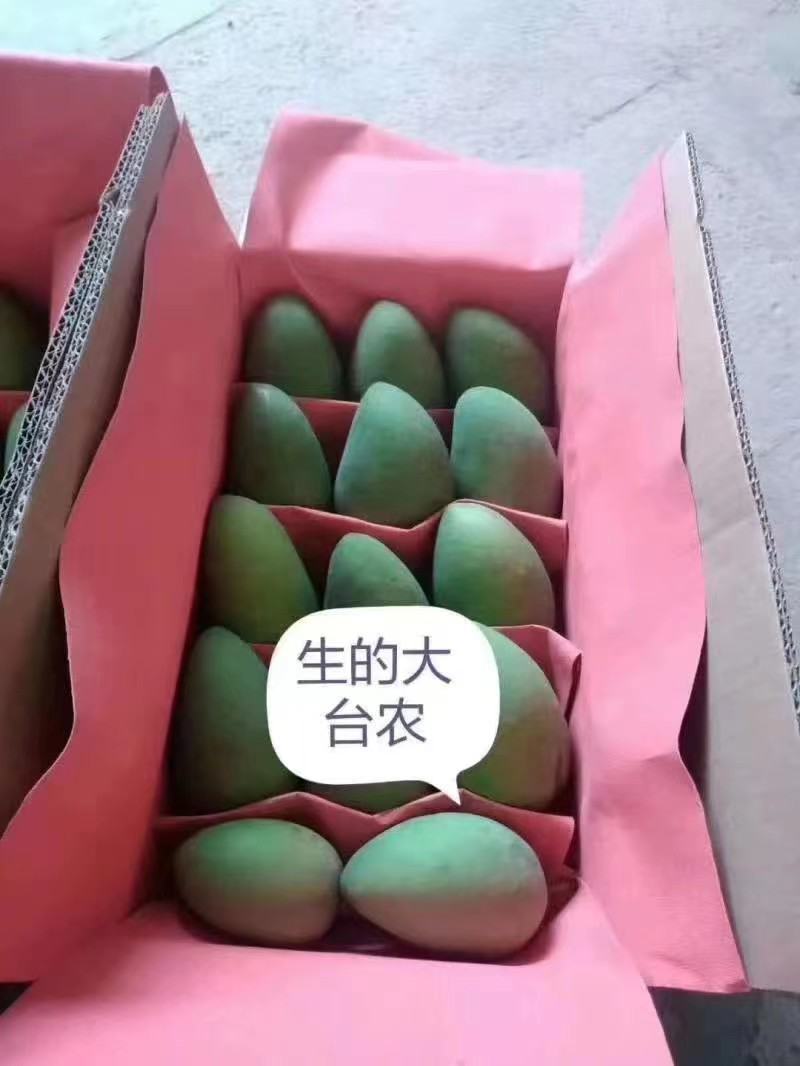 【精选】广西百色台芒农芒果大量上市欢迎采购合作洽谈