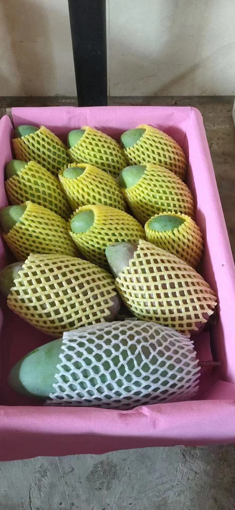 广西芒果金煌芒大量供应，欢迎全国大家采购批发诚信合作