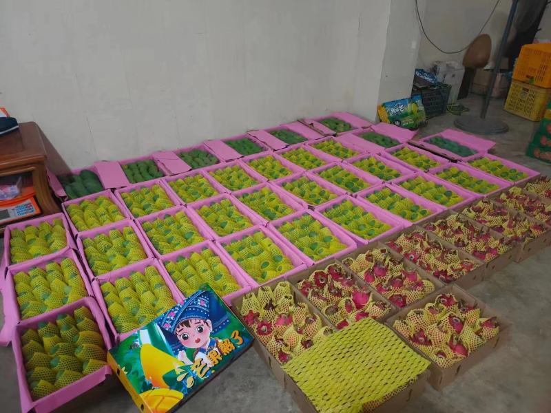 广西芒果金煌芒大量供应，欢迎全国大家采购批发诚信合作