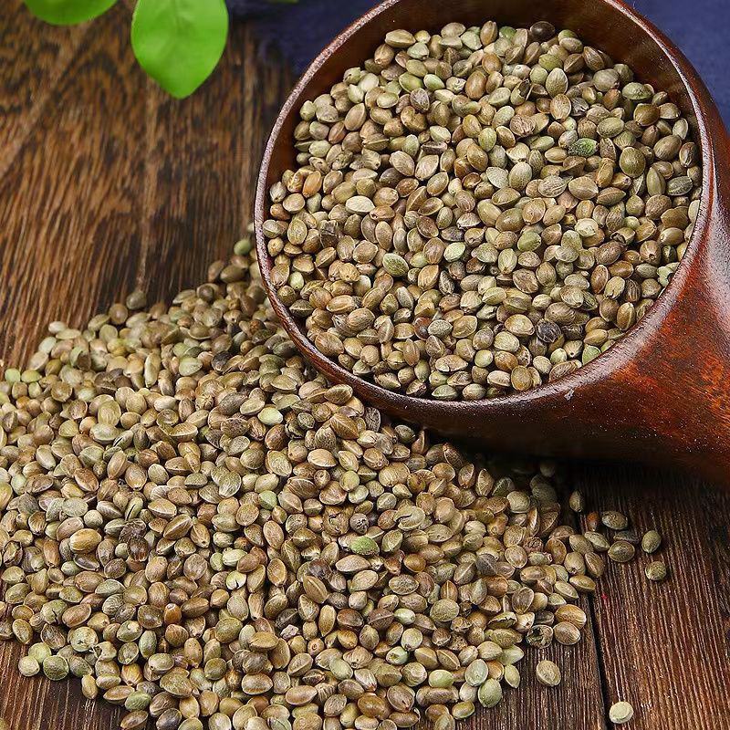 火麻仁中药材生火麻子500克巴马火麻子火麻仁