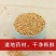 白芥子中药材白芥籽生白芥子白介子正品新货无硫熏多规