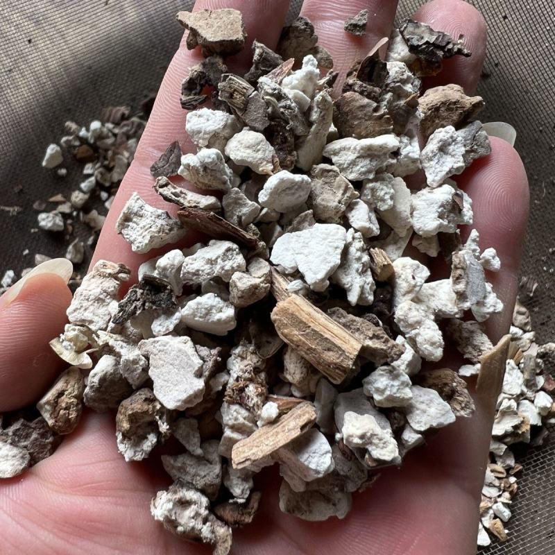 云南带皮茯神片松树根穿过茯苓带皮生切晒干茯苓神