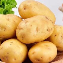 【土豆】中薯5号土豆黄心土豆土豆保质保量，欢迎订购