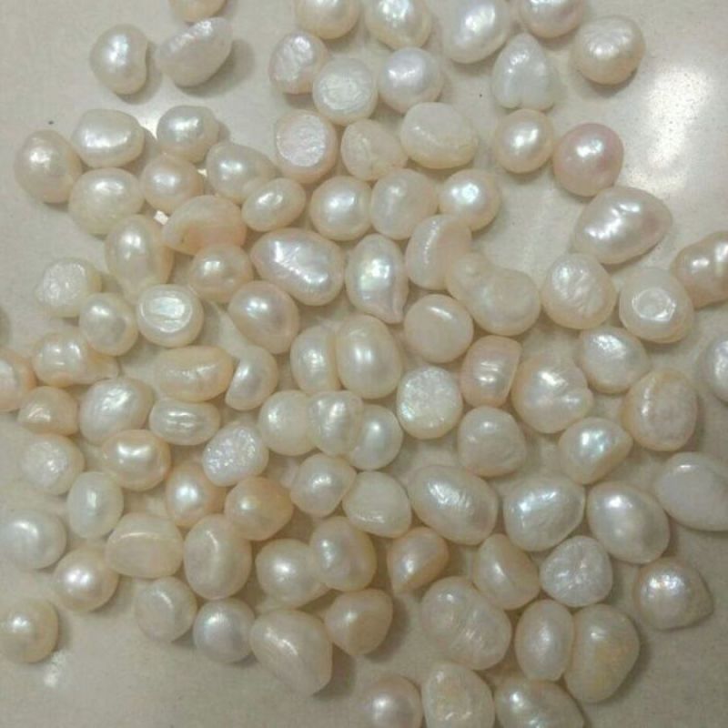 中药材珍珠药用淡珍珠珍珠粉正品原色天然珍珠珍珠面