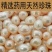 中药材珍珠药用淡珍珠珍珠粉正品原色天然珍珠珍珠面
