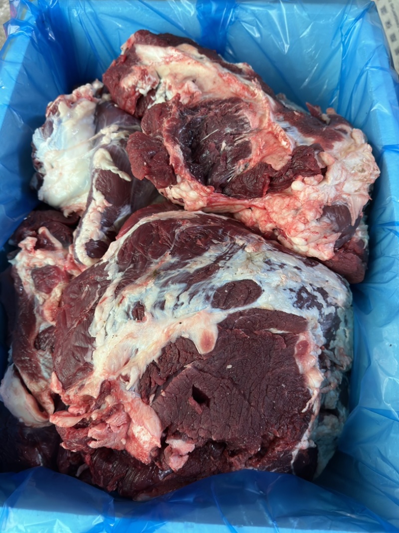 【精品牛肉河南焦作清真纯干无注水牛肉牛肋条