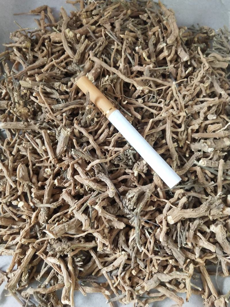 远志节子
