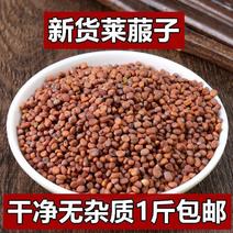 莱菔子生莱菔子无硫新货萝卜子莱菔子萝卜籽多规格50