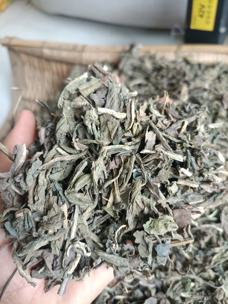 大青叶，干净无杂，规各齐全，大货供应，全国发货