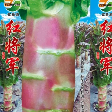 各种红皮莴笋种子，耐寒耐湿耐雨红皮青肉产量高香味浓鼻。