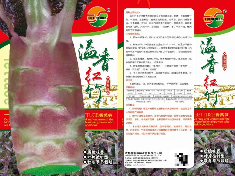 各种红皮莴笋种子，耐寒耐湿耐雨红皮青肉产量高香味浓鼻。
