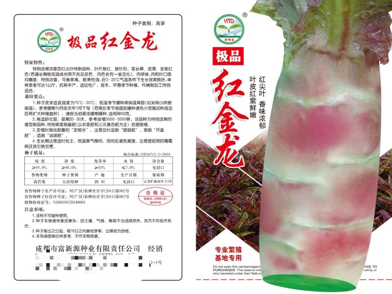 各种红皮莴笋种子，耐寒耐湿耐雨红皮青肉产量高香味浓鼻。