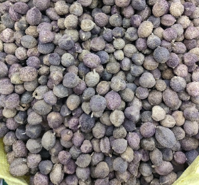 振兴药材批发供应阳春砂仁规格齐全产地直供一手货源
