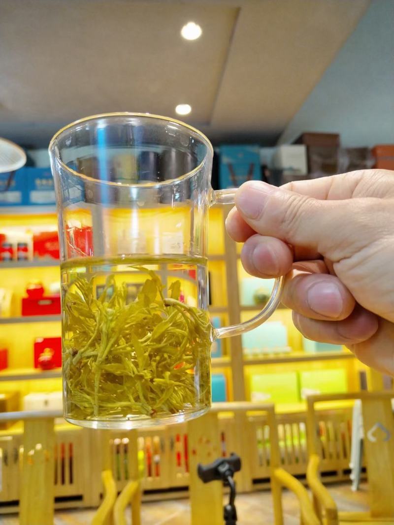 野生藤茶种植藤茶高中低档都有