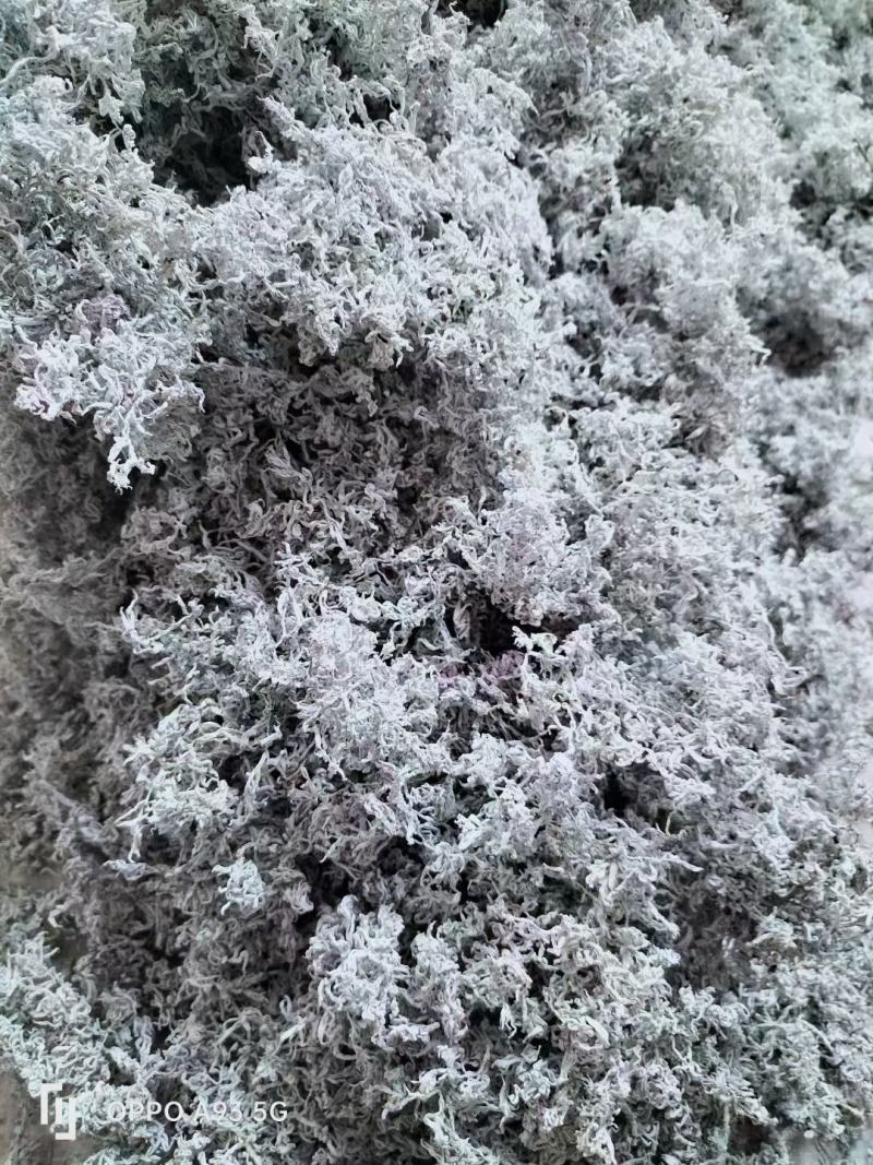 野生藤茶种植藤茶高中低档都有
