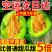 羊角蜜甜瓜3-5斤一件代发包售后对接电商微商团购