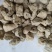 海浮石浮海石祥泰药材栈中药材批发零售诚信药材欢迎购买