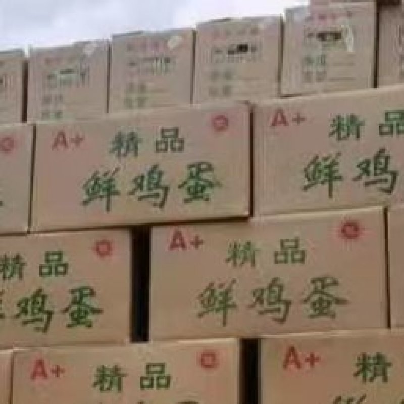 河北馆陶鲜鸡蛋