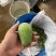 湛江芒果、台芒、货源充足、一手货源量大质优