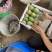 湛江芒果、台芒、货源充足、一手货源量大质优