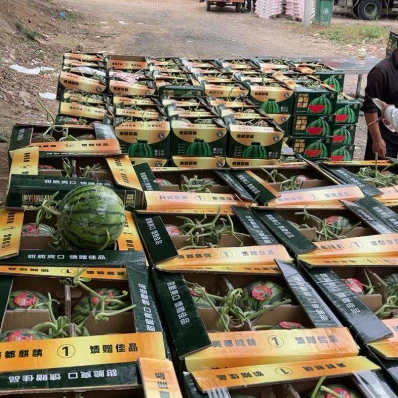 精品优质无籽美都西瓜6斤打底9成熟1茬，供市场超市