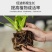 农用复合肥20-20-20平衡复合肥瓜果蔬菜通用型复合肥