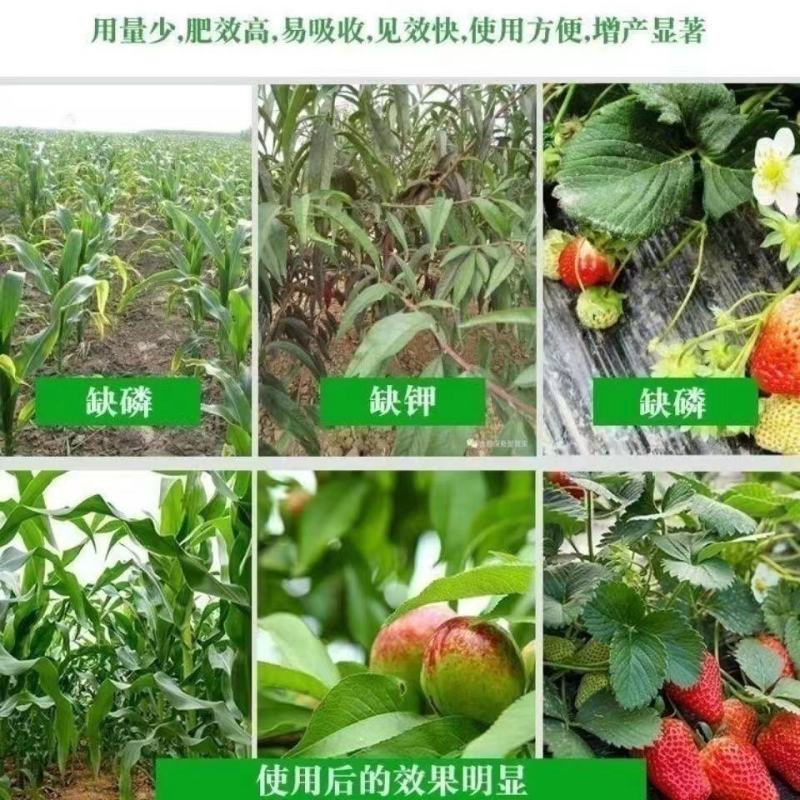 农用复合肥20-20-20平衡复合肥瓜果蔬菜通用型复合肥