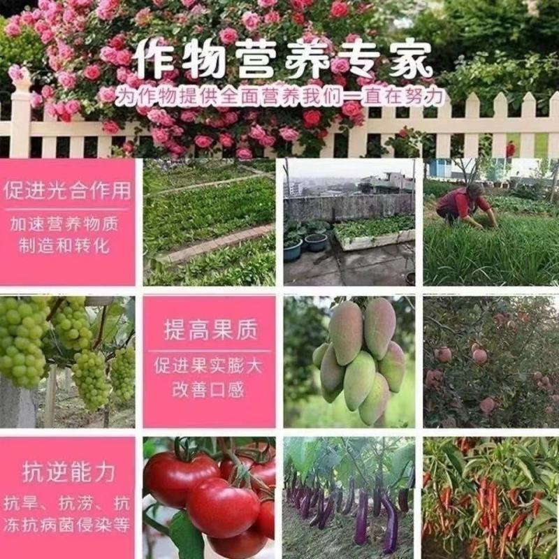 农用复合肥20-20-20平衡复合肥瓜果蔬菜通用型复合肥