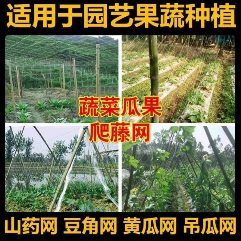 农用植物爬藤网山药豆角丝瓜吊瓜苦瓜黄瓜百香果用植物攀爬网