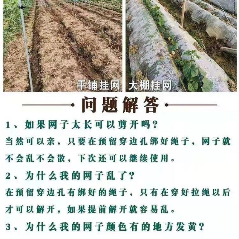 农用植物爬藤网山药豆角丝瓜吊瓜苦瓜黄瓜百香果用植物攀爬网