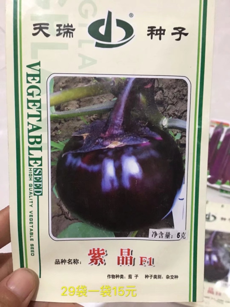 特价处理，早雷，916等甘蓝种子春秋品种