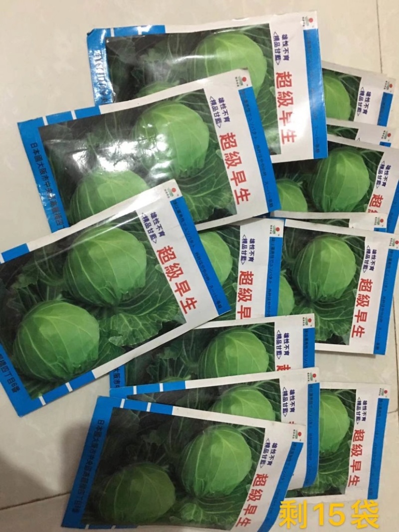 特价处理916甘蓝种子