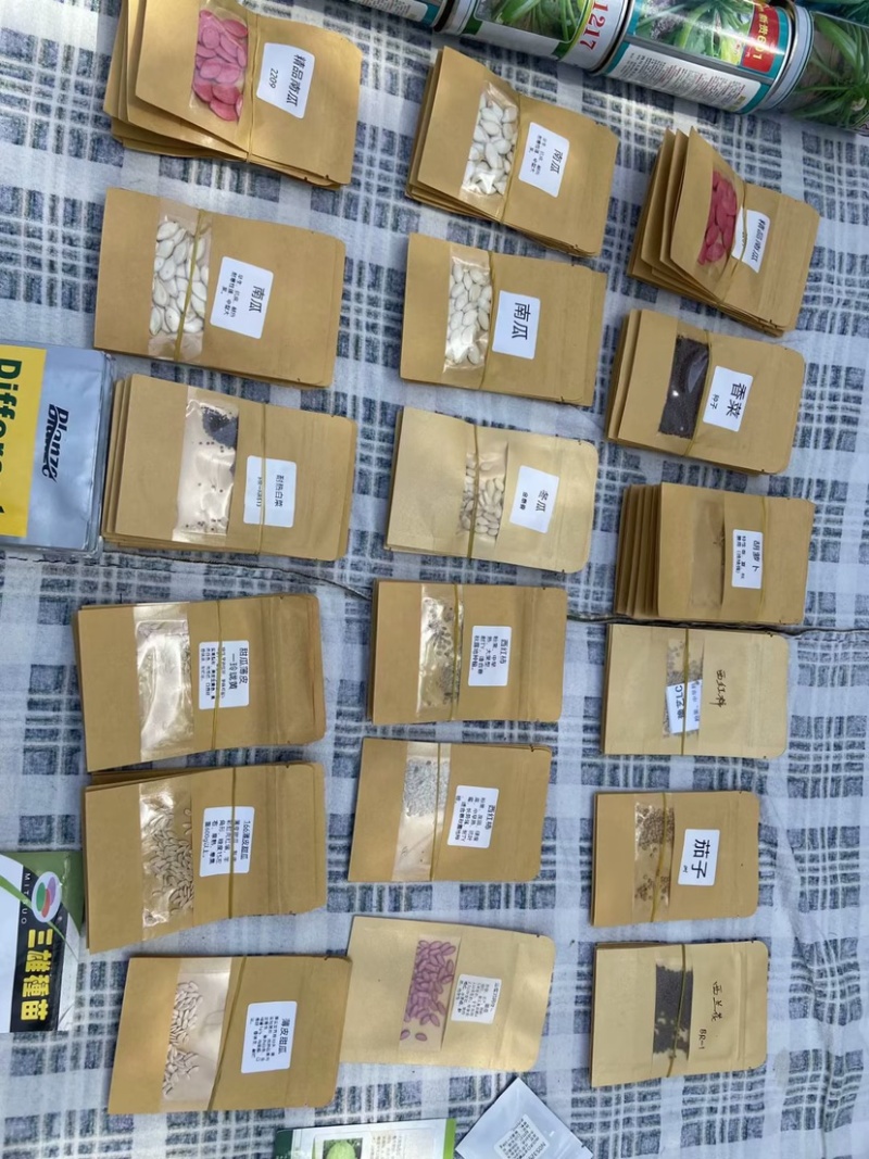 特价处理916甘蓝种子