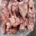 带腱前后腿骨